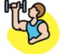 Free Weights